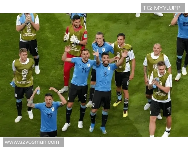 乌拉圭与法国精彩对决视频回顾分析及赛后点评